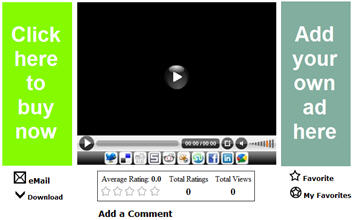 Example Vidget